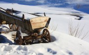 16 февраля Починки