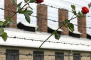 11 апреля