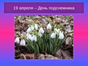 19 апреля