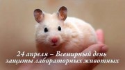 24 апреля