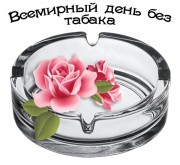 31 мая